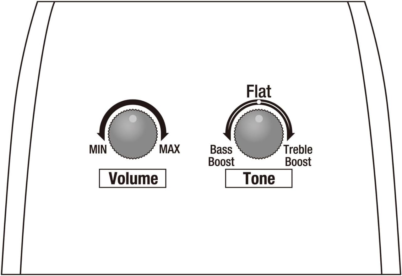 Ibanez AE2912 12-string Acoustic-electric Guitar - Natural Low Gloss