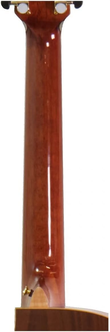 Luna Vista Eagle 12-String Cutaway Acoustic Electric Guitar with Case