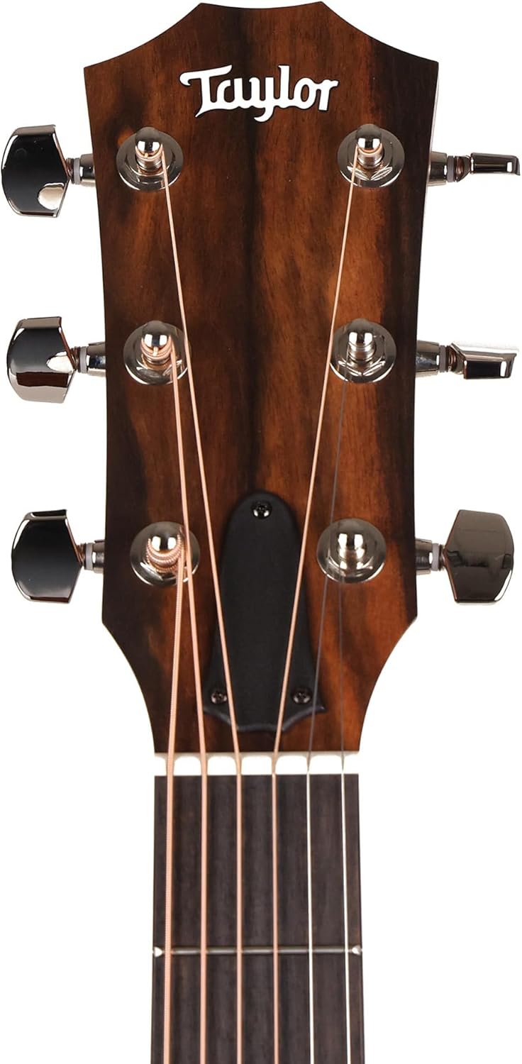 Taylor 214ce Plus, Acoustic Guitar