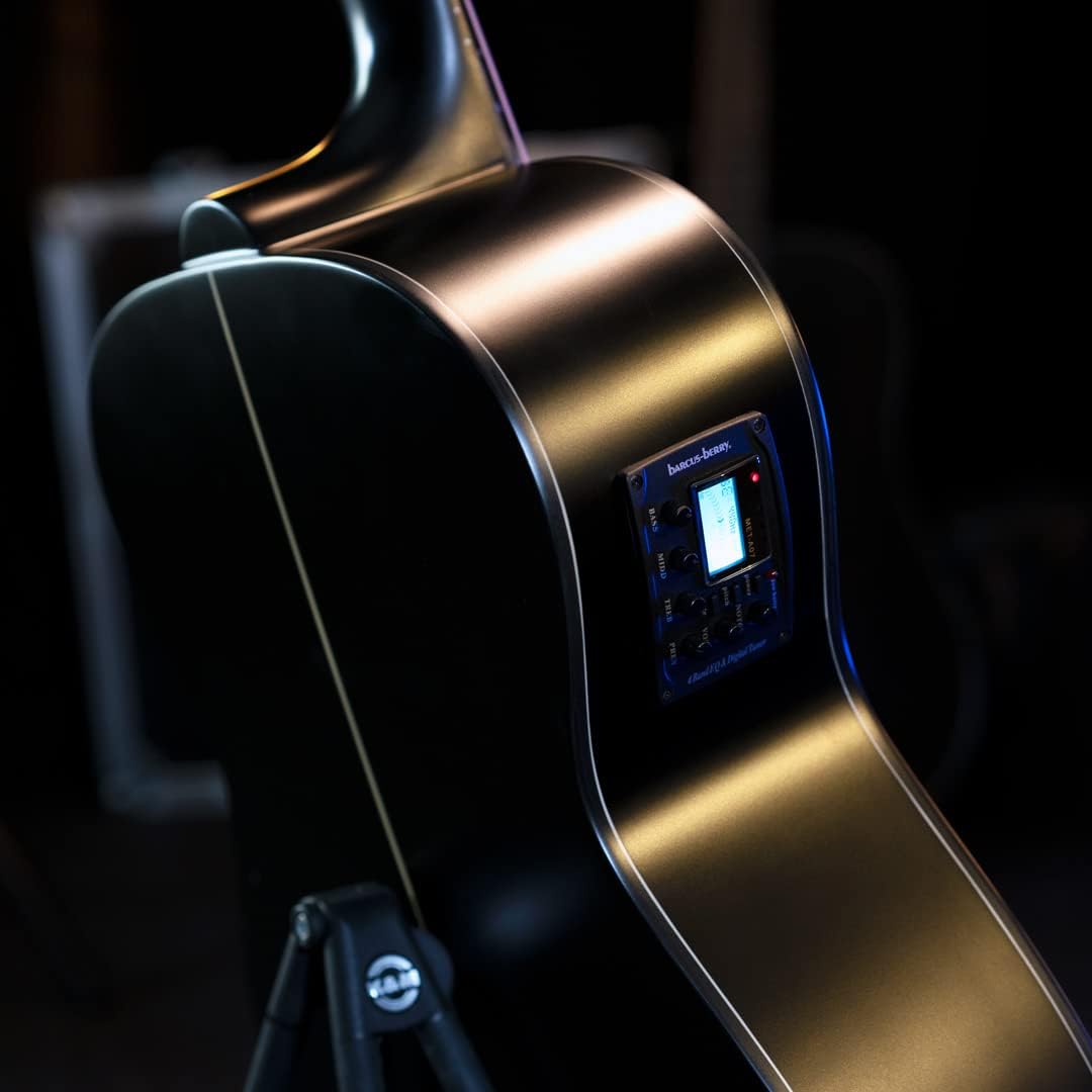 Washburn Deep Forest Ebony FE (DFEFE)