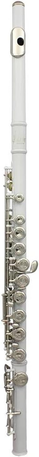 Adult Beginner Flute 16 Hole Closed C Major Flute With E Key Professional Musical Instrument