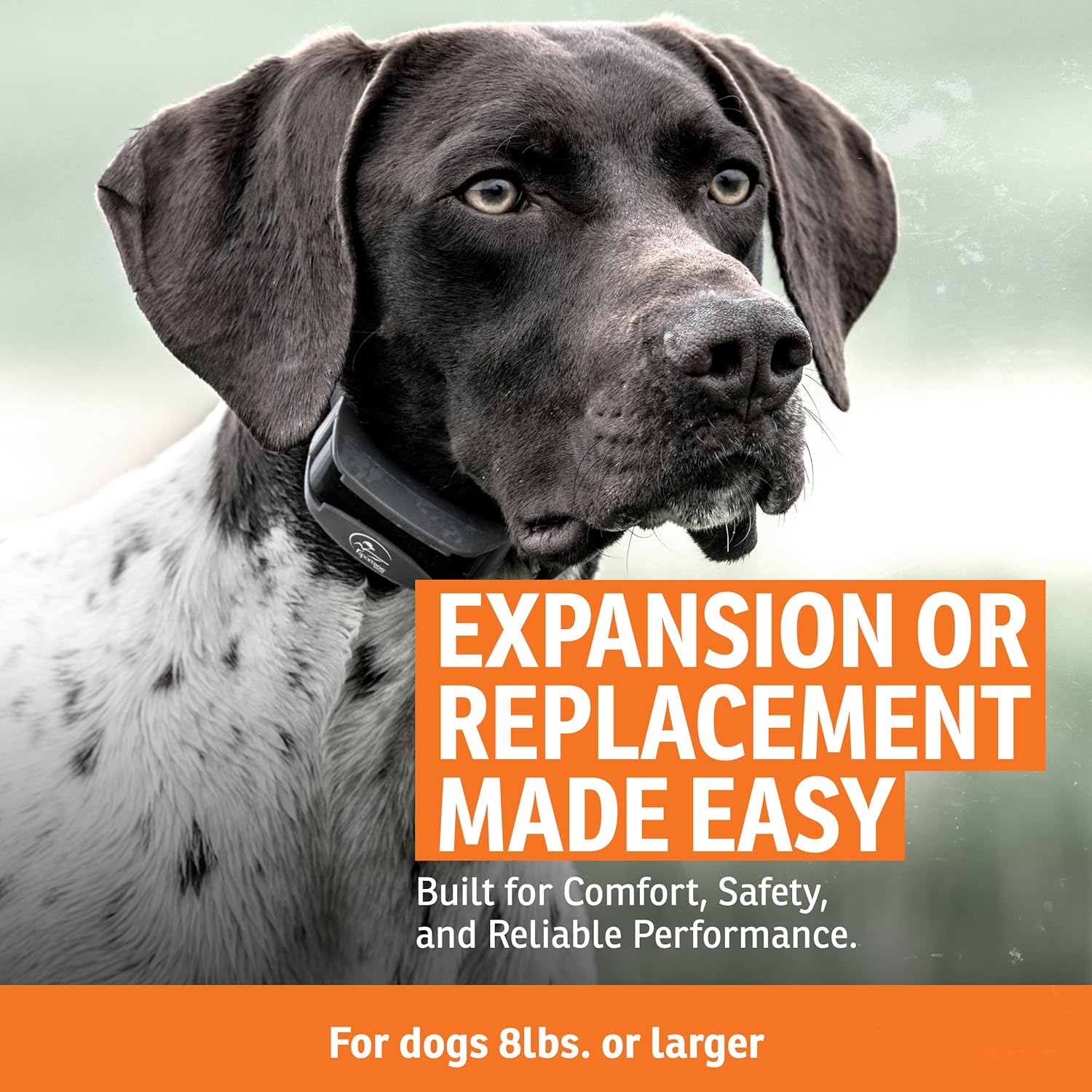 SportDOG FieldTrainer 425X & SportHunter 825X Add-a-Dog Collar - Double Pairing Compatible - Safe Shock E-Collar for Multi-Dog Households - Durable & Waterproof Obedience Training Accessory - Orange