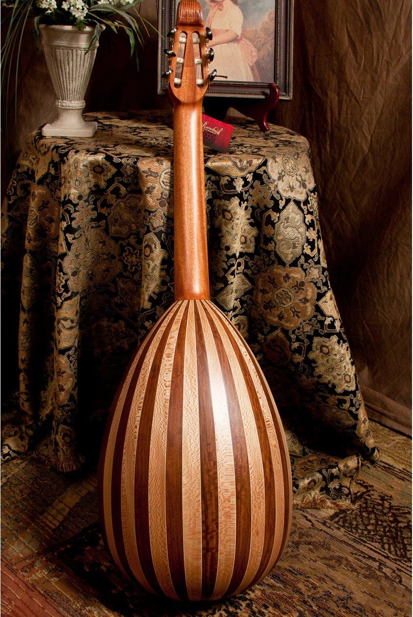 Lute-Guitar, 6 String, Variegated, Gears