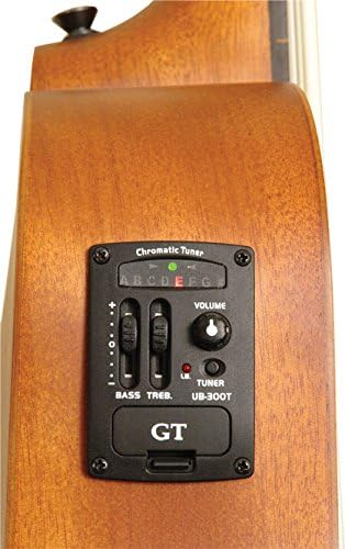 Gold Tone Mbass-25 Acoustic-Electric MicroBass Guitar Bundle w/Bag & Stand