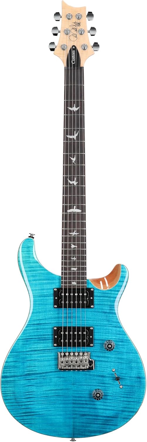 PRS SE Custom 24 Exclusive, Blue Matteo Natural Back