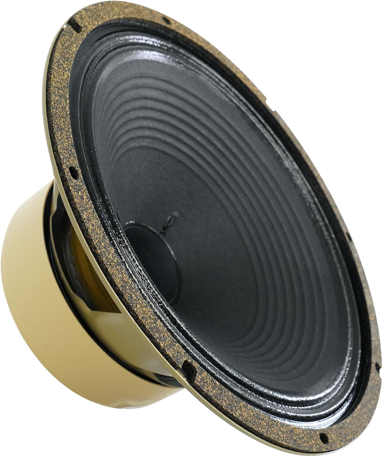 Audiosavings Bundle: Celestion G12H-75 Creamback 12