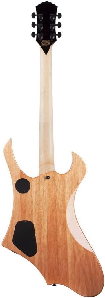 Schecter Wylde Goreghen