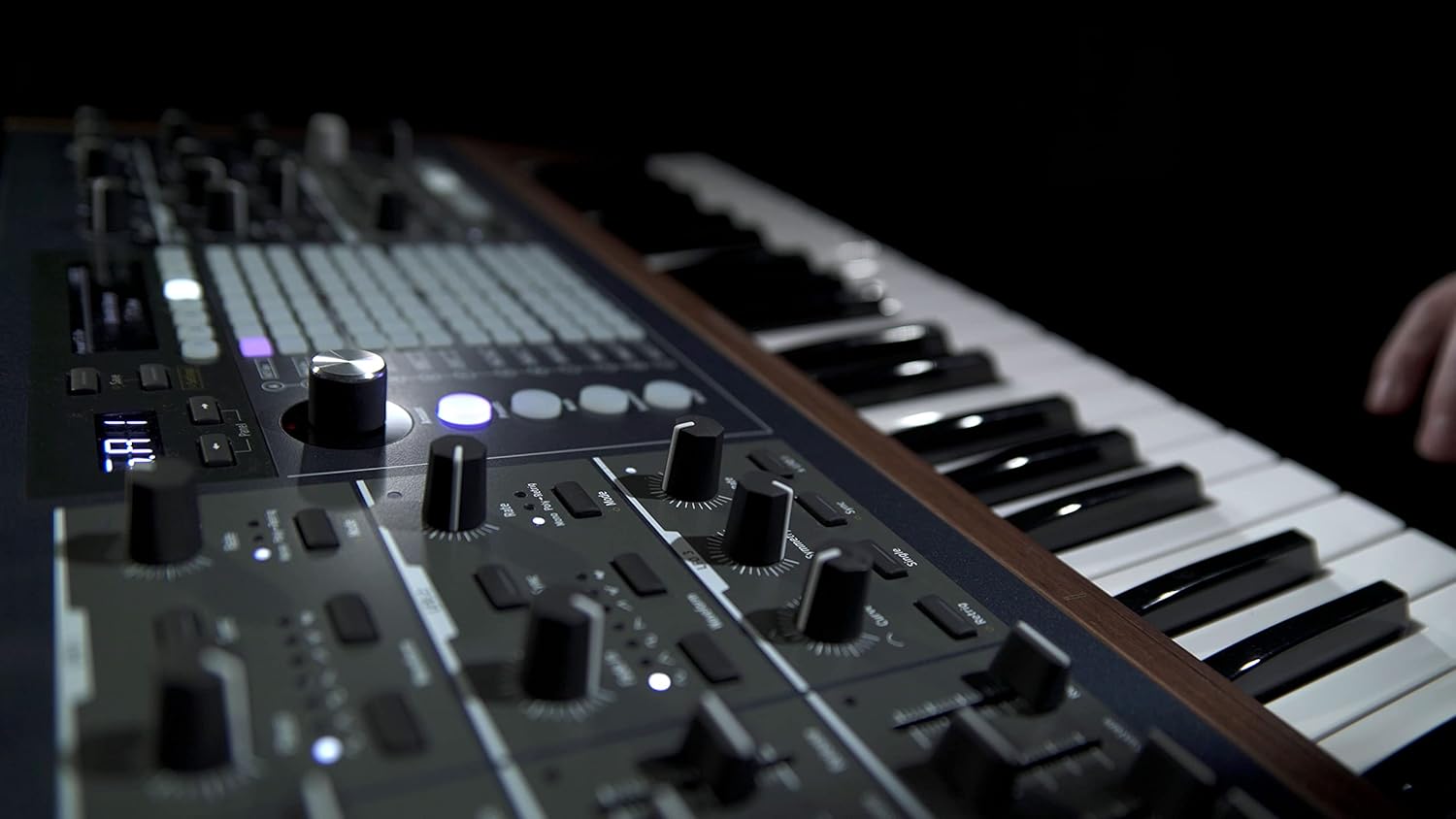 Arturia PolyBrute Morphing Analog Synthesizer Bundle with Adjustable Stand, MIDI Cable, Sustain Pedal, Expression Pedal, and Austin Bazaar Polishing Cloth