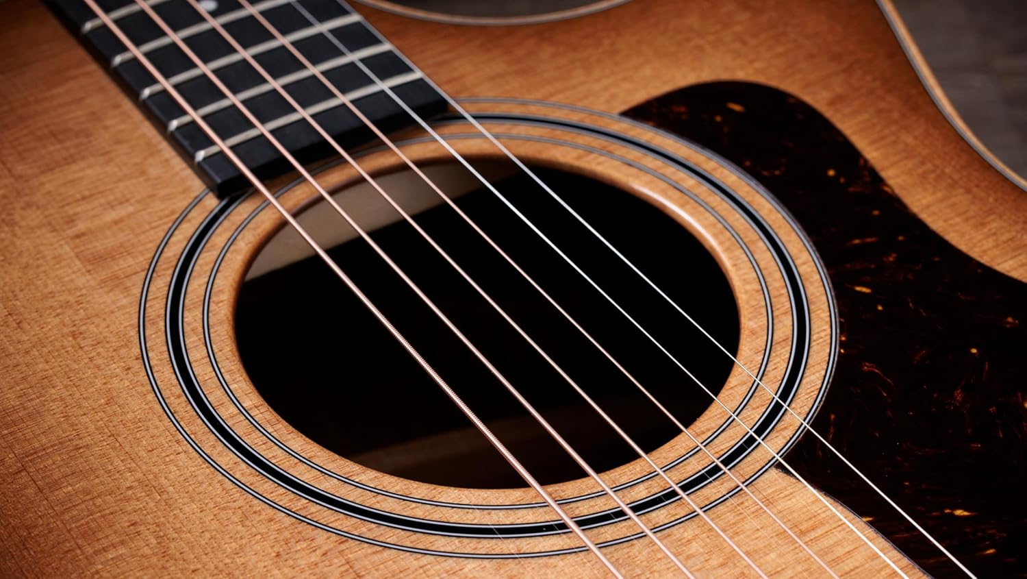 Studio 314ce Taylor (SEB)