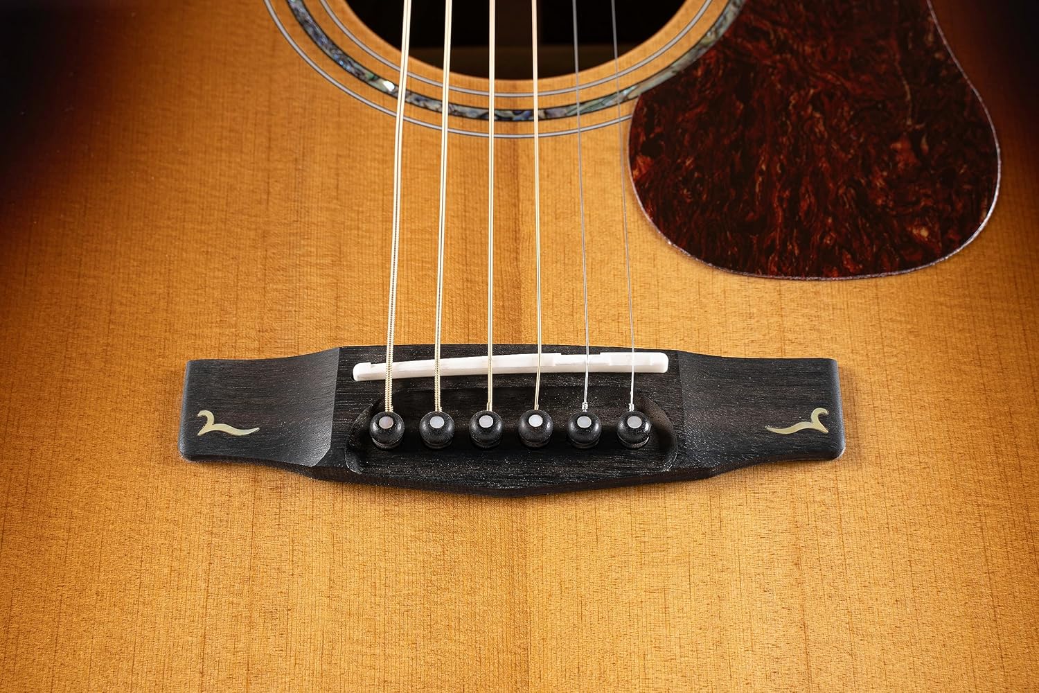 Cort 6 String Acoustic Guitar, Right, Light Burst, Full (GOLDD8LB-U)