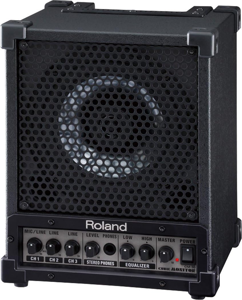 Roland Cube Monitor/PA
