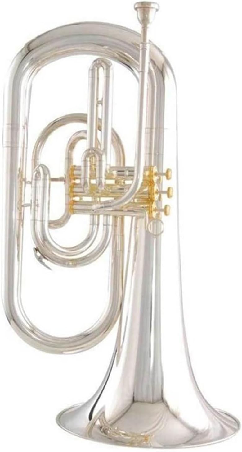 Professional instrument B flat marching euphonium