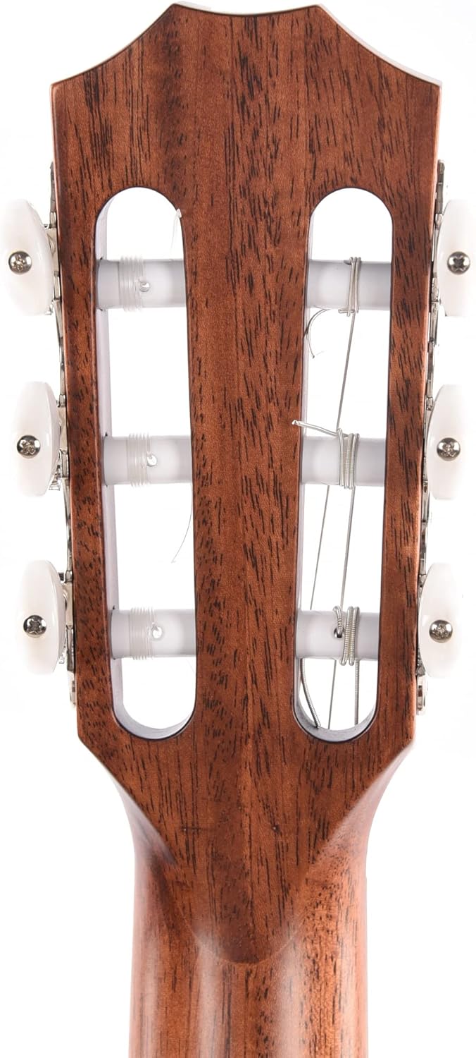 Taylor 314ce-N - Sapele Back and Sides