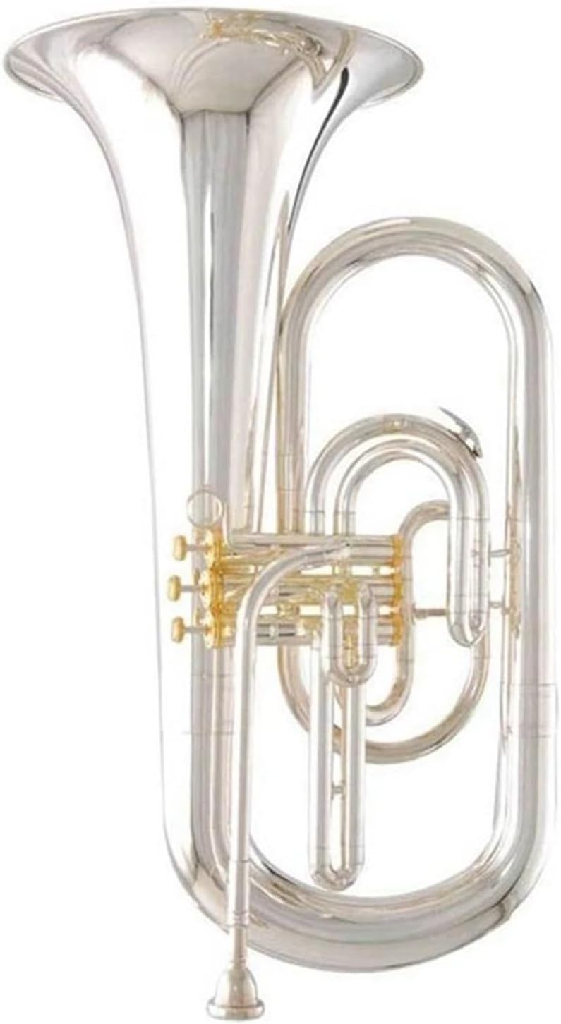 Professional instrument B flat marching euphonium
