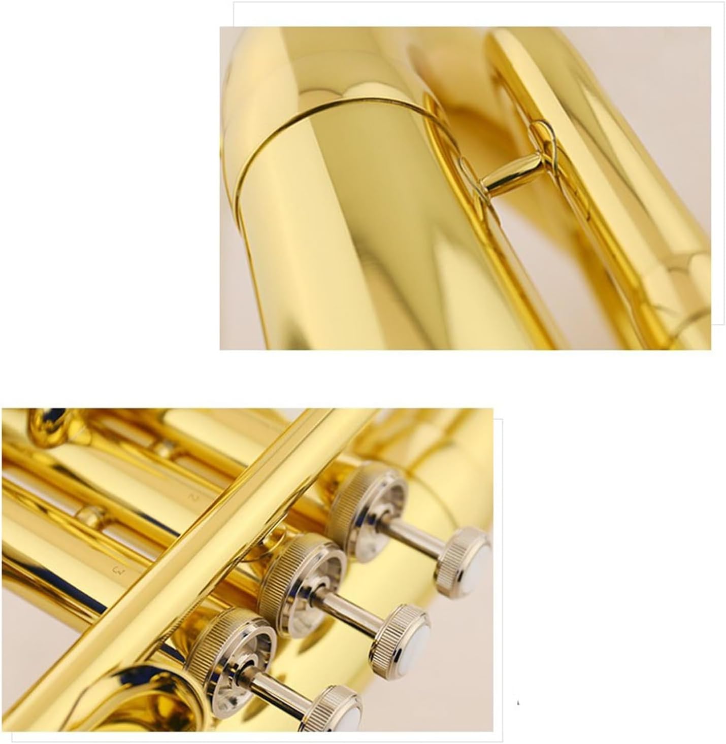 Professional B flat euphonium brass instrument
