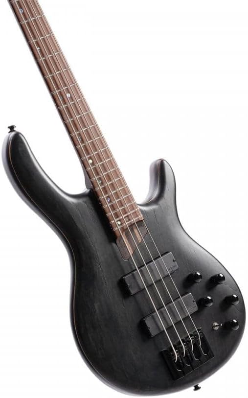 Cort Artisan Series B4 Element Bass Guitar, Open Pore Transparent Black