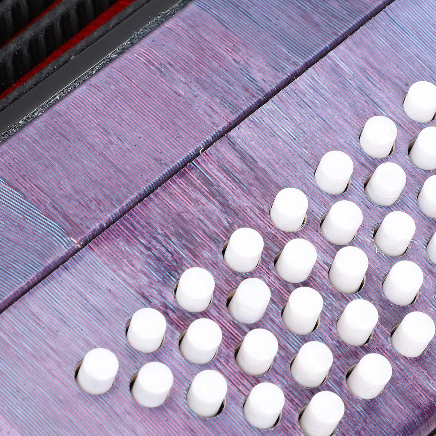 LiebeWH Accordion 62 Keys 60 Bass Buttons Chromatic Scale F B E Tuning for Beginner Professional Player Various Music Styles