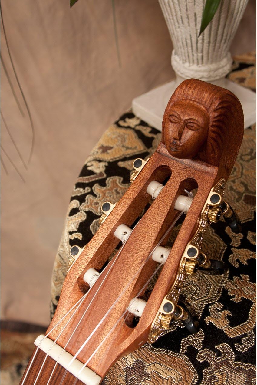 Lute-Guitar, 6 String, Variegated, Gears