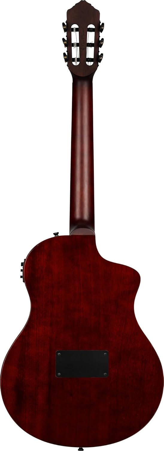 RTPSTD-NAT-L | Nylon String Guitar | TourPlayer Series