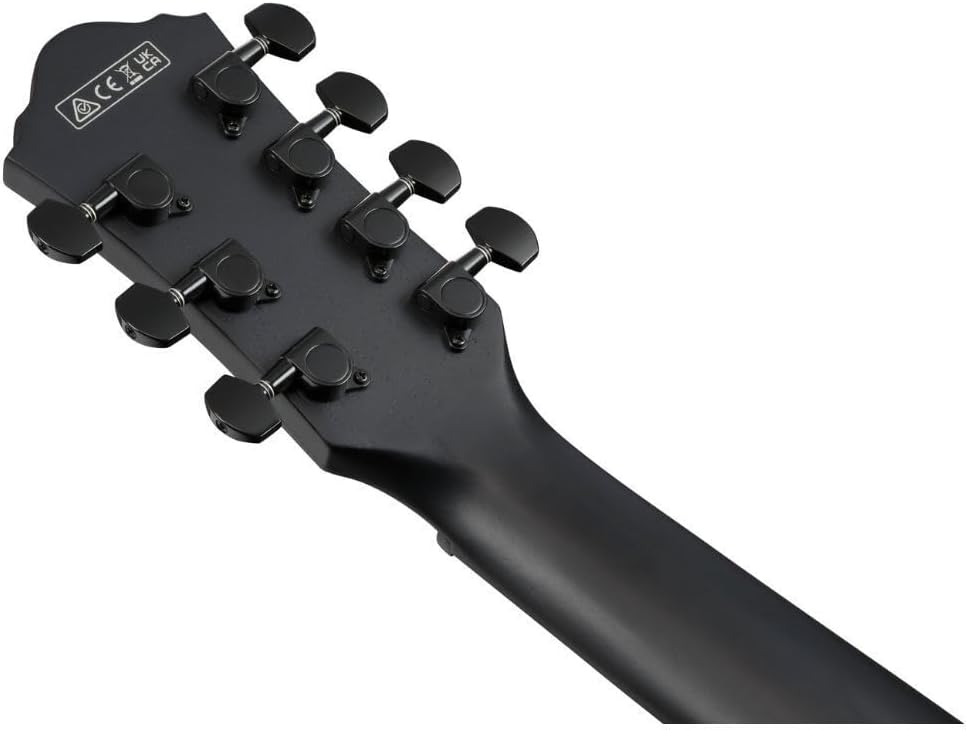 Ibanez AEG721 7-string Acoustic-electric Guitar - Black Out