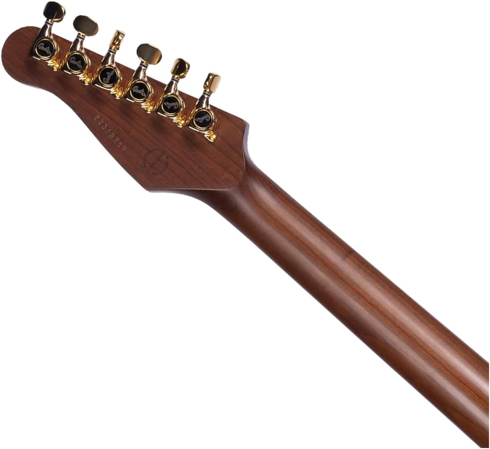 Godin Artisan TC Whiskeyburst MN