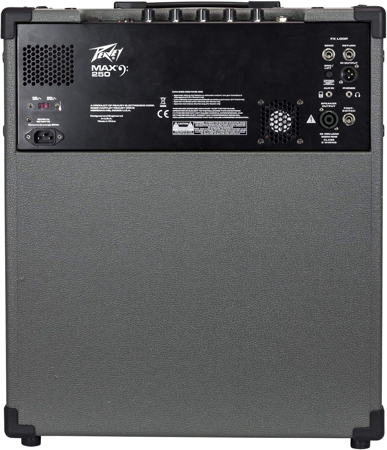 Peavey MAX® 250