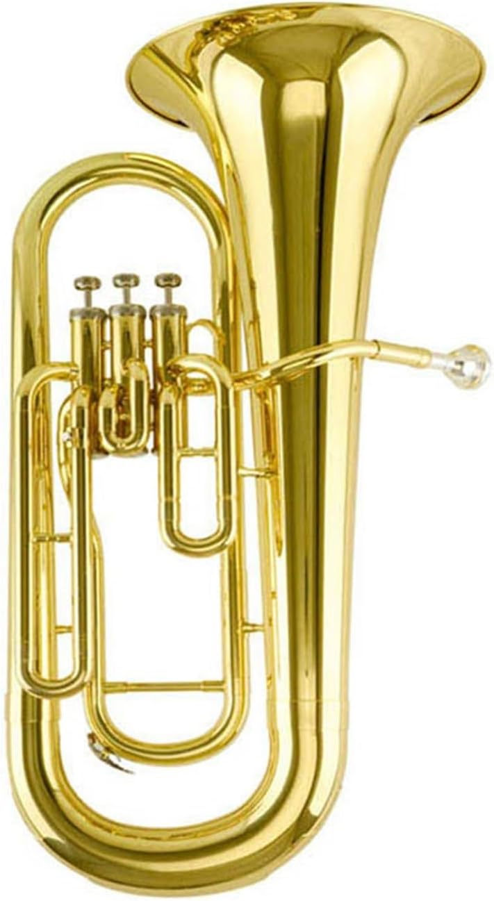 Professional B flat Euphonium instrument suitable for beginners