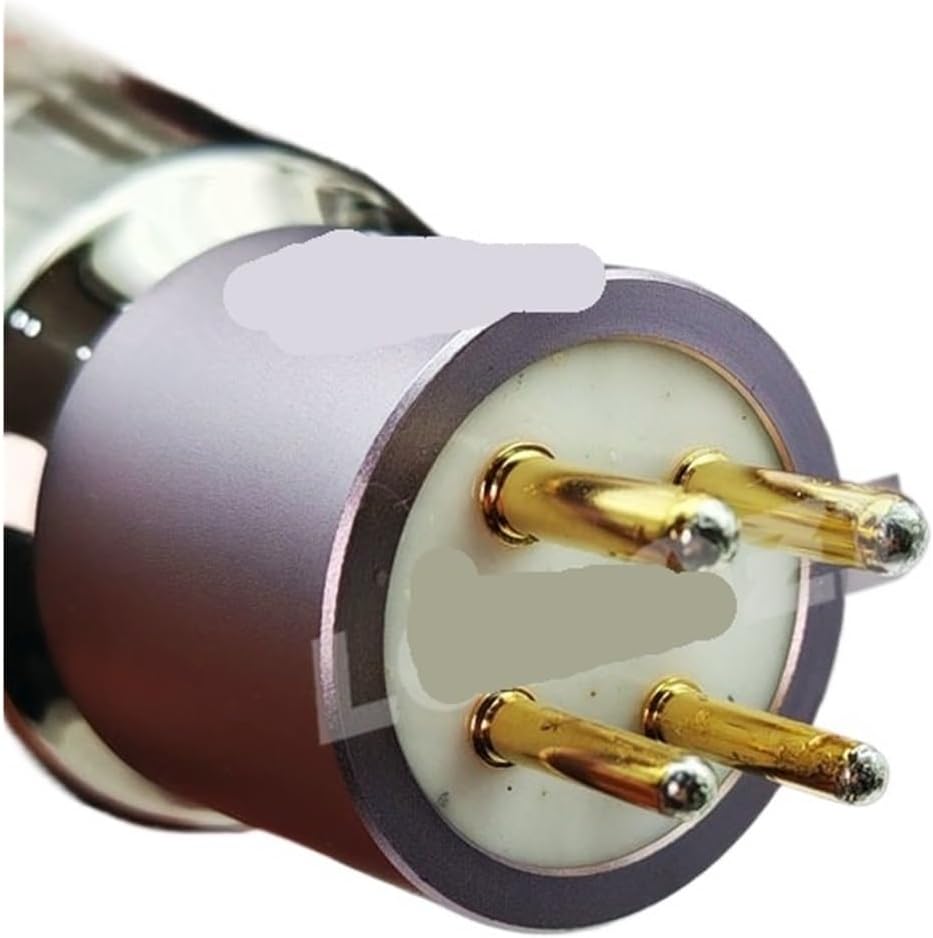 1/2/4PCS 300B-PT Audio Tube Amplifier(1PCS)