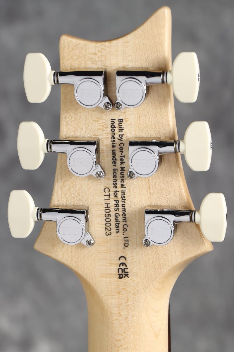 PRS SE Custom 24, Slate Blue with Gigbag