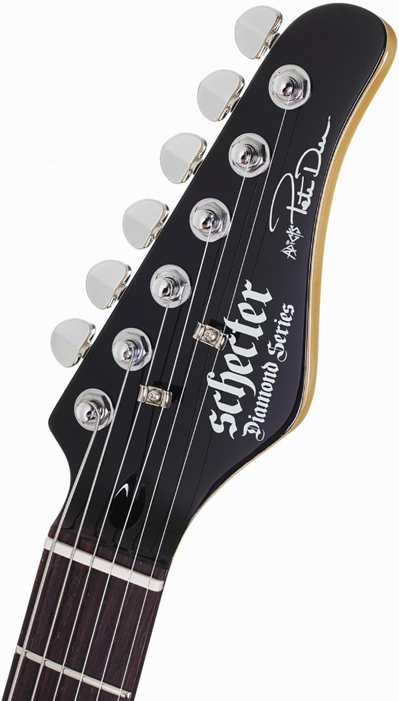 Schecter Electric Guitar - Pete Dee Artist Model