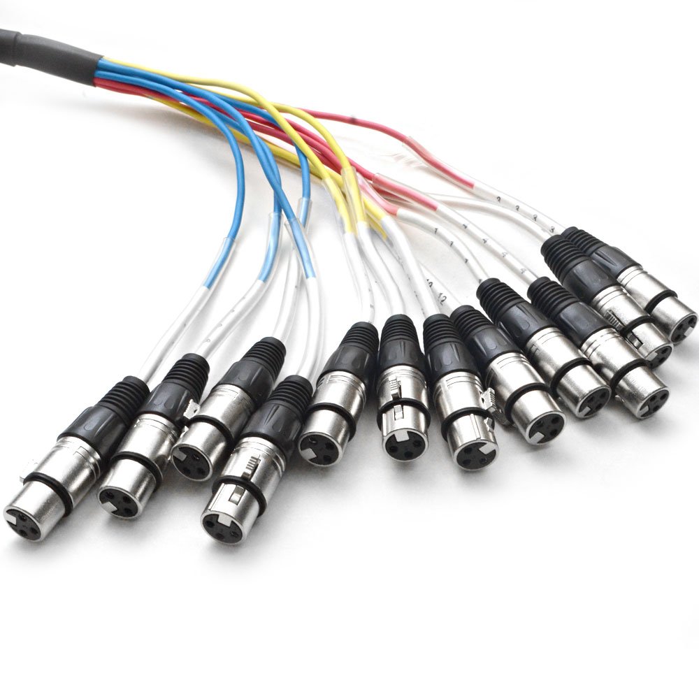 Seismic Audio - 12 Channel XLR Snake Cable - 10 Feet Long - Pro Audio Snake for Live Live, Recording, Studios, and Gigs - Patch, Amp, Mixer, Audio Interface 5'