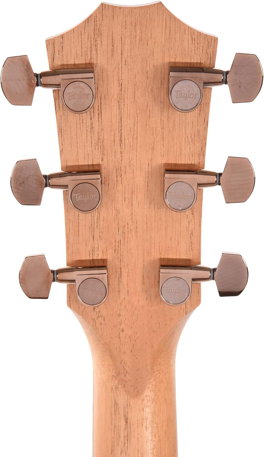 Taylor 224ce-K DLX Acoustic-electric Guitar - Shaded Edgeburst with Layered Koa Back & Sides