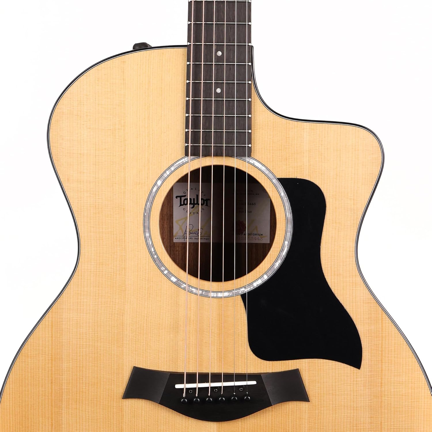Taylor 214ce Plus, Acoustic Guitar