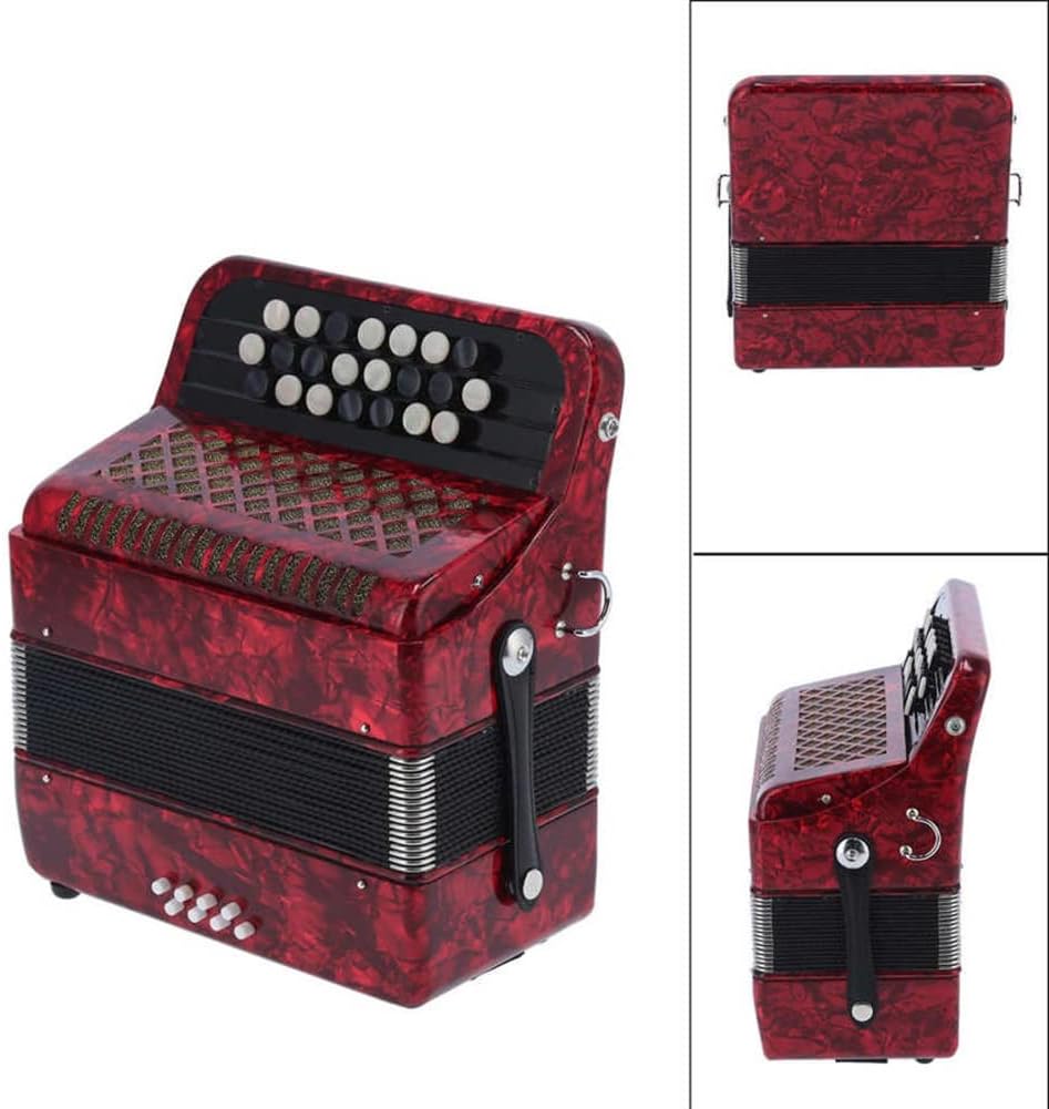 Bayan Accordion for Beginner Adults, 22 Button 8 Bass Professional Button Reed Accordion Instrument with Storage Bag (Color : Sky Blue)