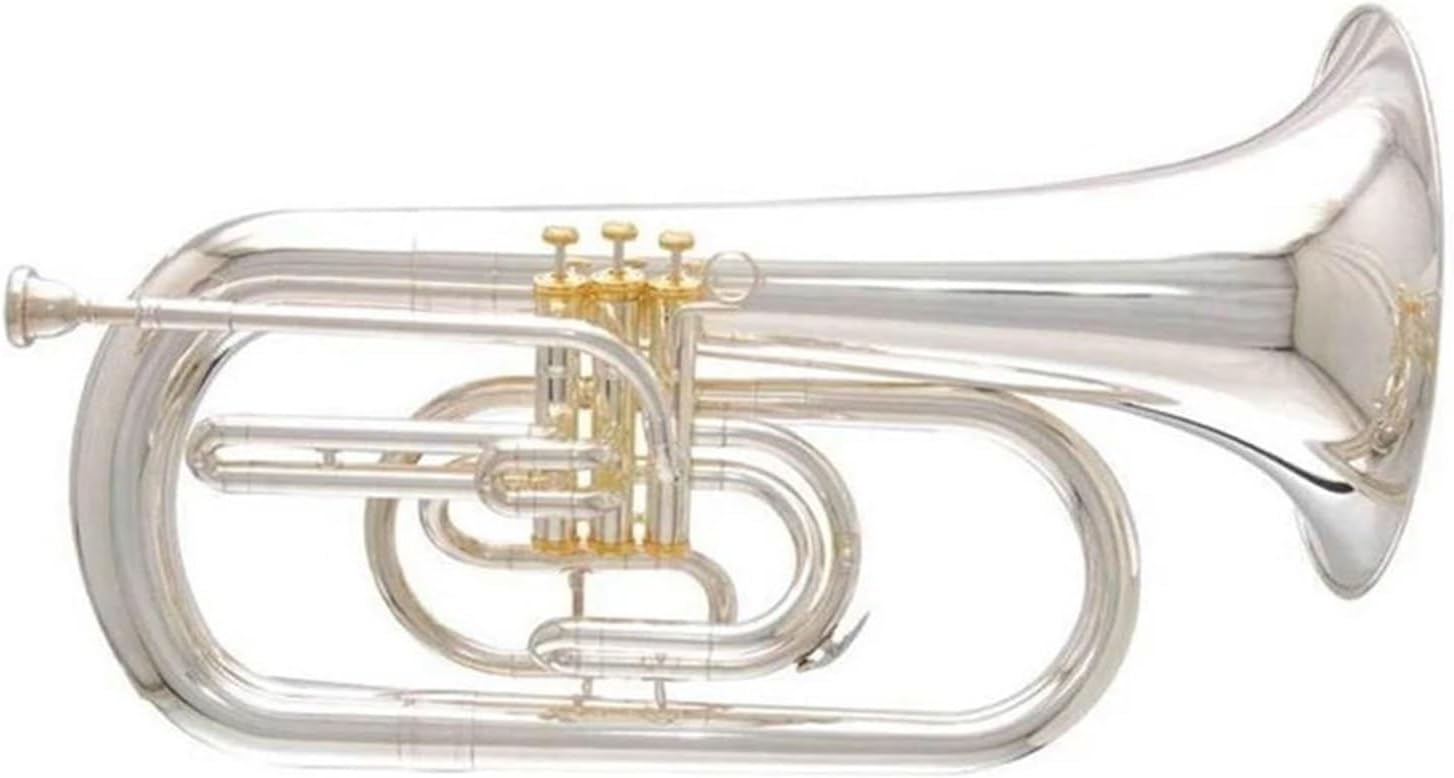 Professional instrument B flat marching euphonium