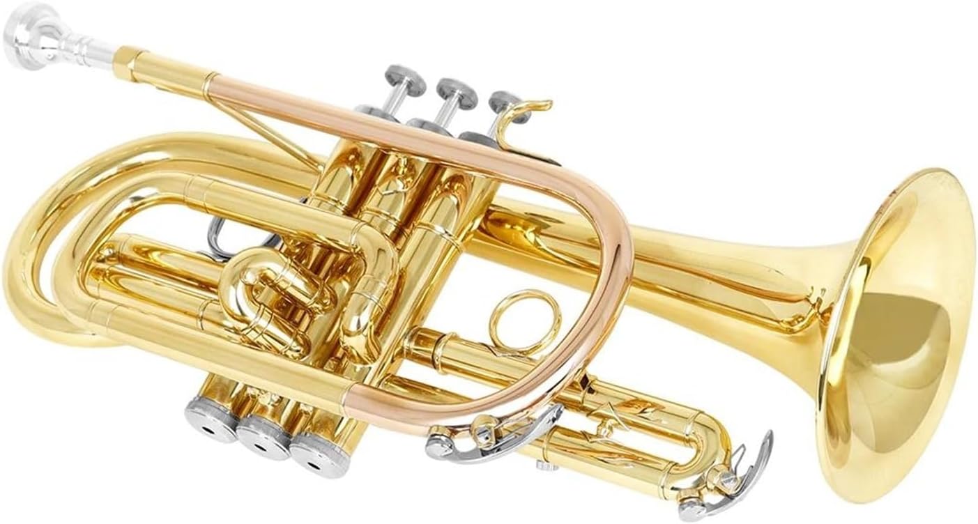 Professional B flat cornet brass instrument