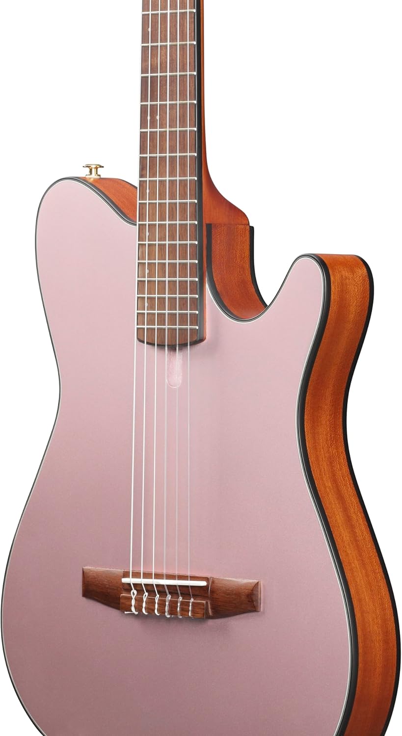 Ibanez FRH10N Thinline Nylon Acoustic-electric Guitar - Rose Gold Metallic Flat