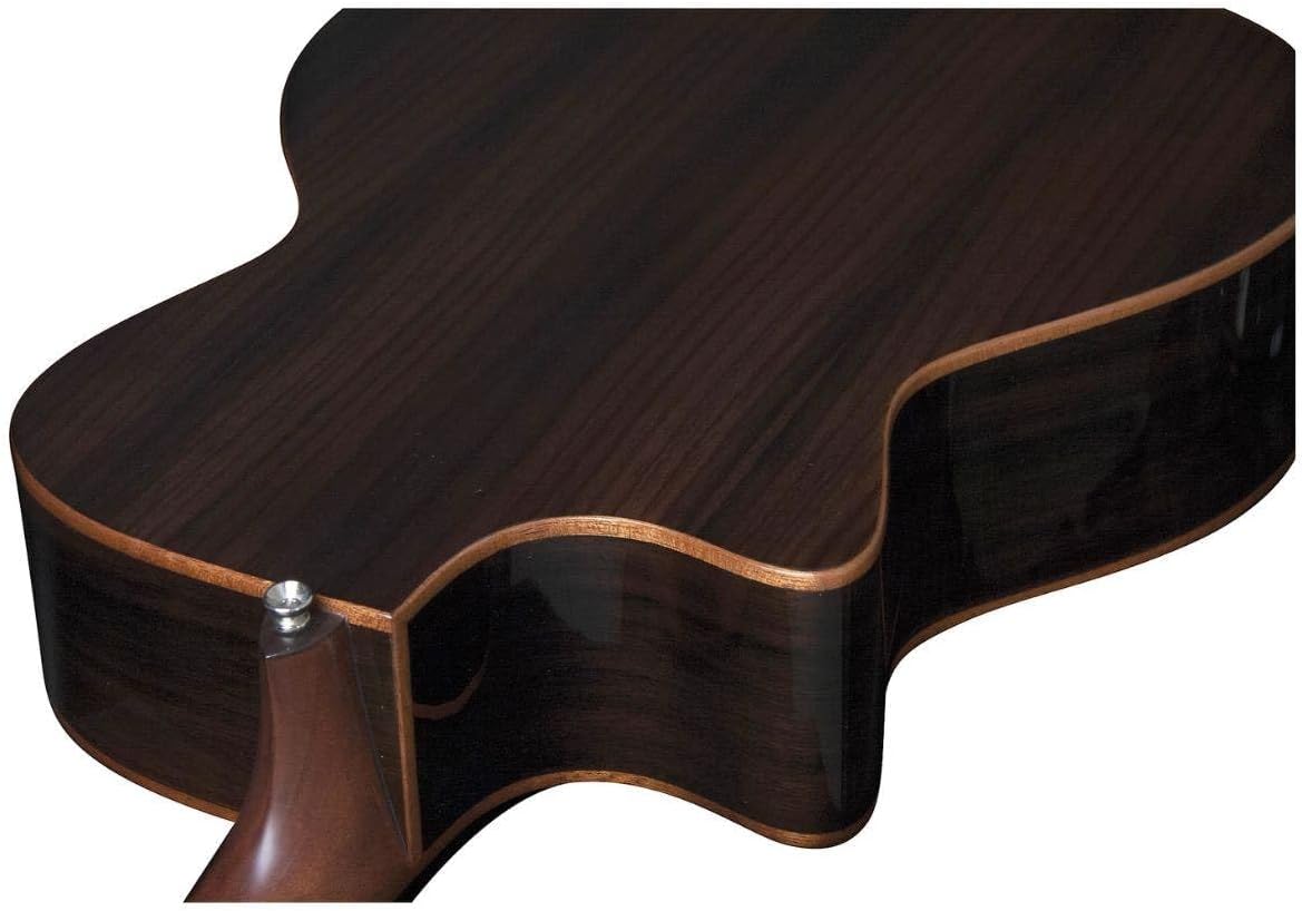 Washburn G20SCE Comfort Grand Auditorium Acoustic/Electric Guitar