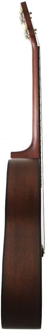 Gold Tone Left Hand Tenor Acoustic Guitar w/Hard Case