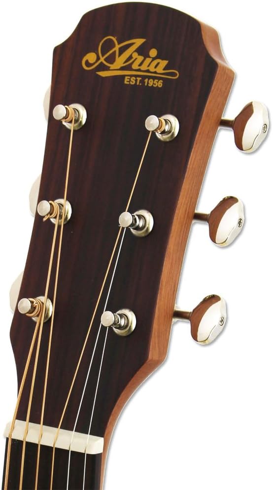 Aria Delta Player 6 String Acoustic Guitar, Muddy Brown Matte Finish, Parlour Guitar (ARIA-131DP)