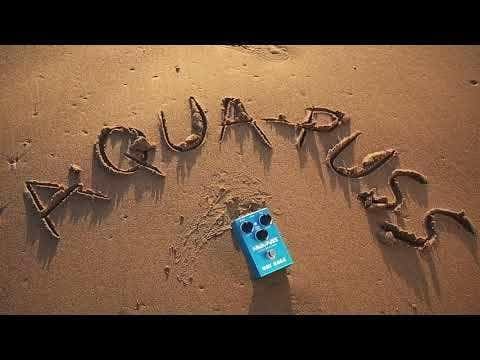 Way Huge® Smalls™ Aqua-Puss™ Analog Delay