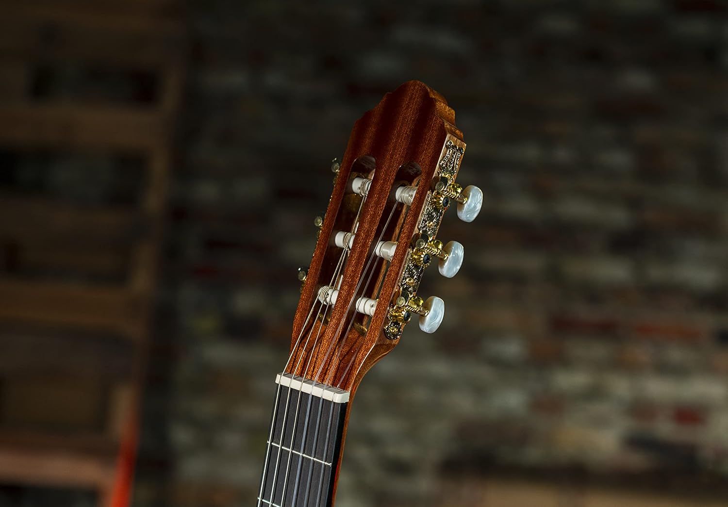 Delta Woods™ CNS-1™ Classical Nylon String Guitar