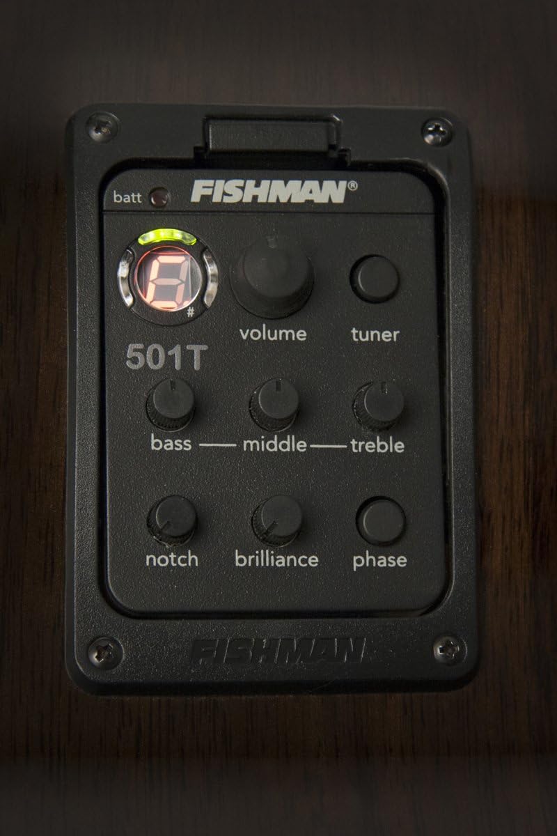 Washburn 6 String Acoustic Guitar, Right Handed, Natural (USM-WCG25SCE)