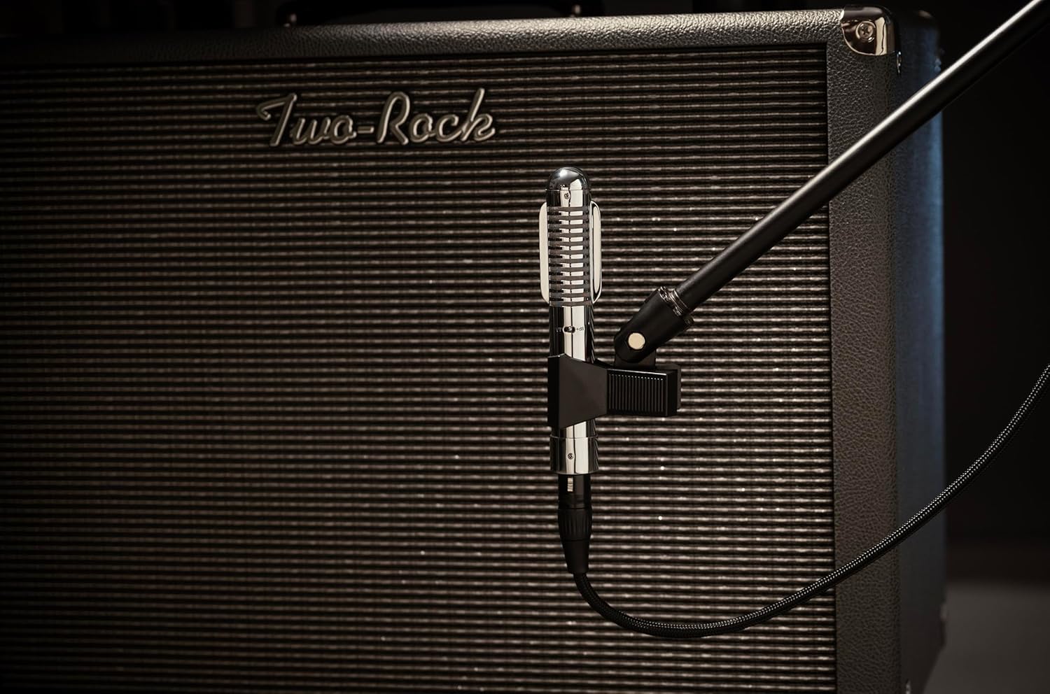 Warm Audio Fen-Tone Instrument Ribbon Microphone with Selectable in-Line Preamp