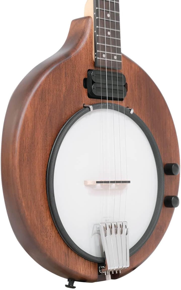 Gold Tone EB-5 Electric Banjo