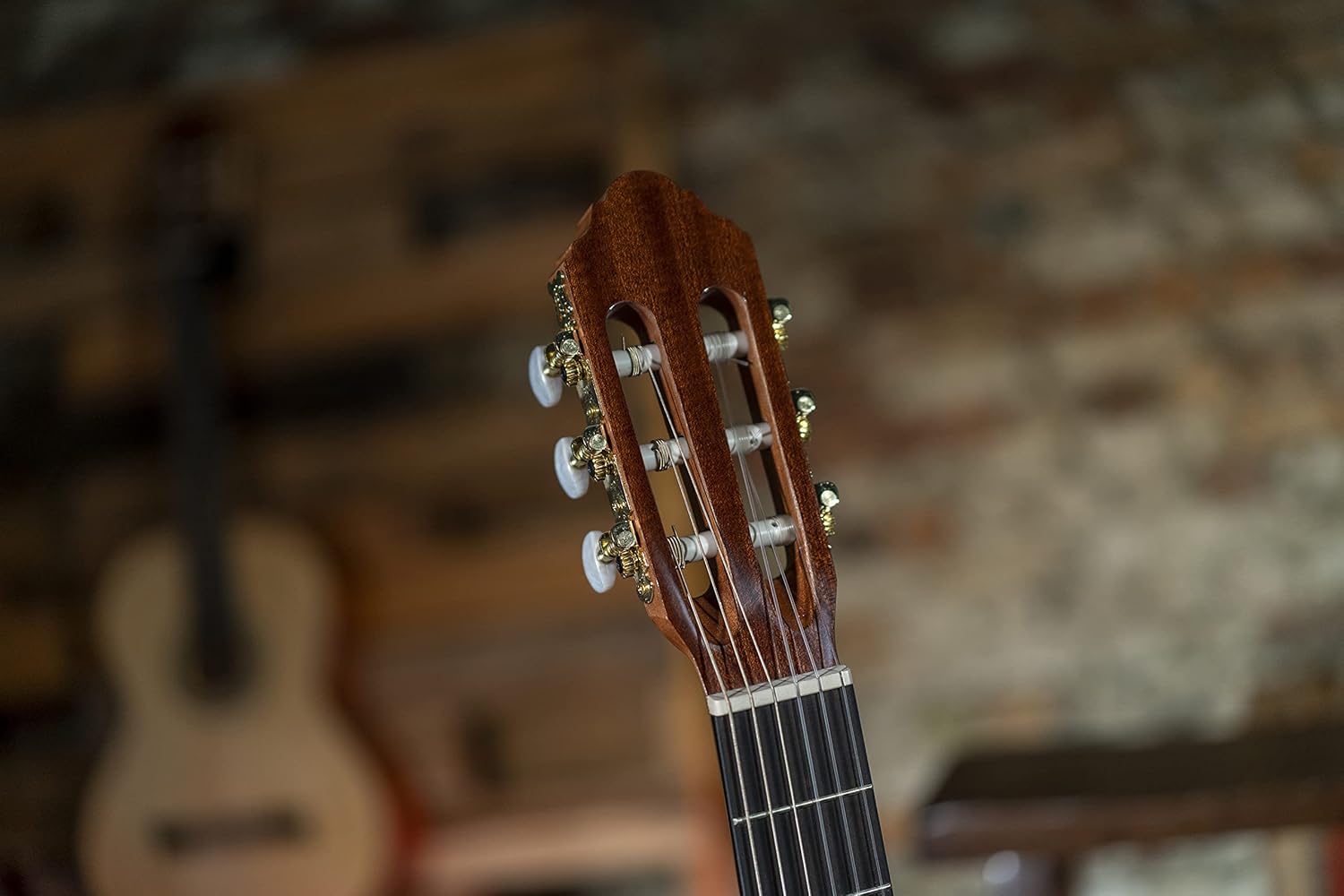 Peavey Delta Woods™ CNS-CE™ Classical Nylon String Guitar with Electronics