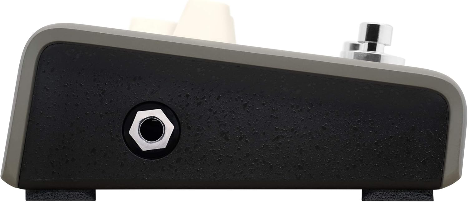 L.R. Baggs Voiceprint DI Acoustic Guitar Impulse Response Effects Pedal