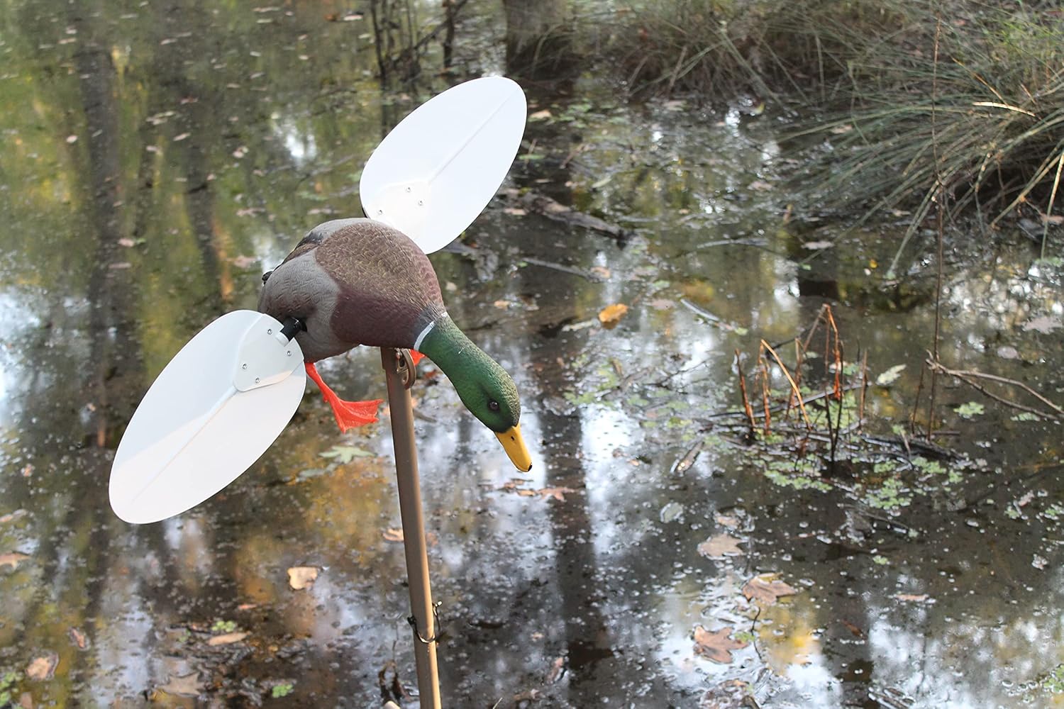 MOJO Outdoors - Premium Waterfowl and Duck Hunting Decoys