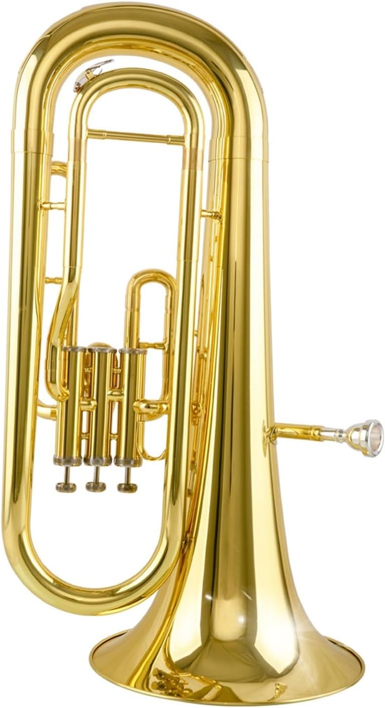 Professional B flat Euphonium instrument suitable for beginners
