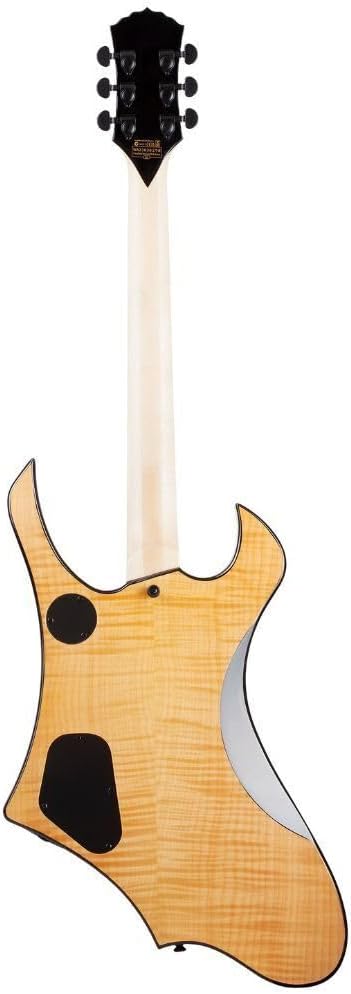 Schecter Wylde Goreghen